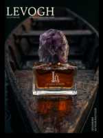 December - Image 4