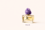 Yolio - Image 3