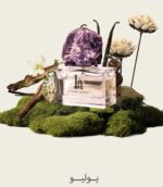 Yolio - Image 2